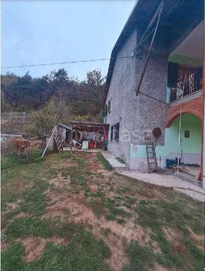 immagine annuncio 7 di 13