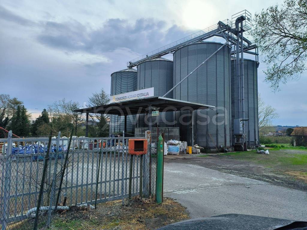 immagine annuncio 1 di 4