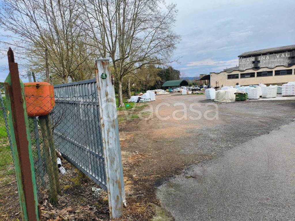 immagine annuncio 3 di 4