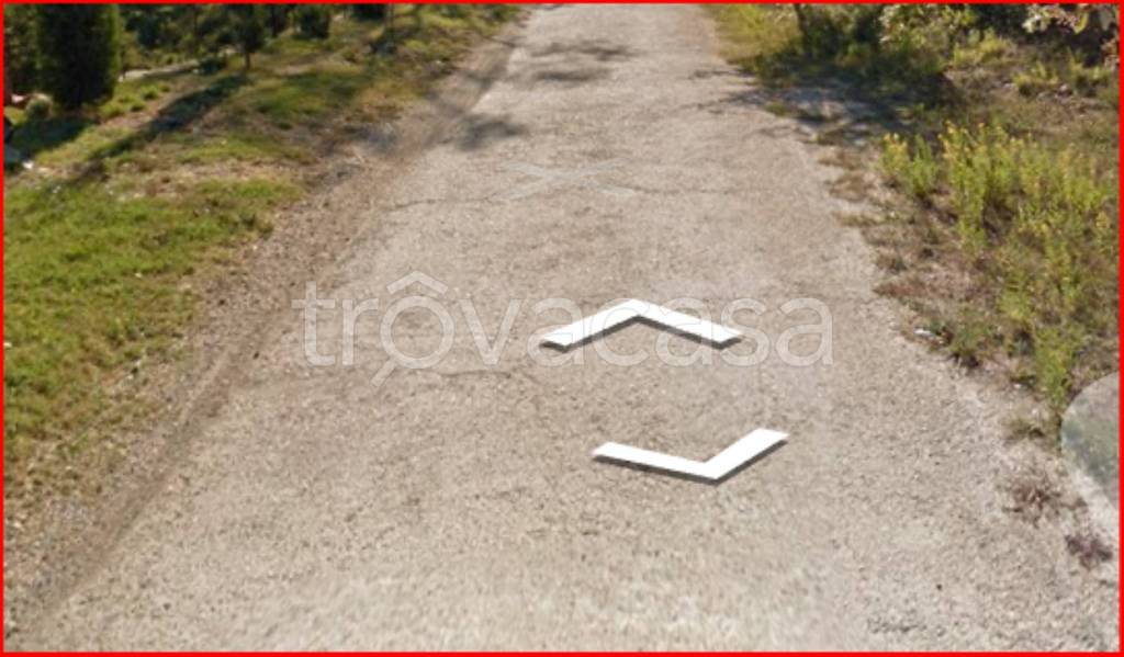 immagine annuncio 7 di 14