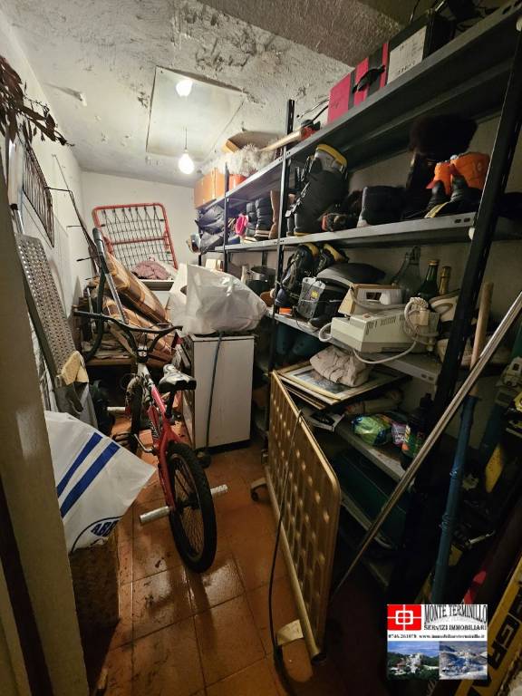 immagine annuncio 11 di 12