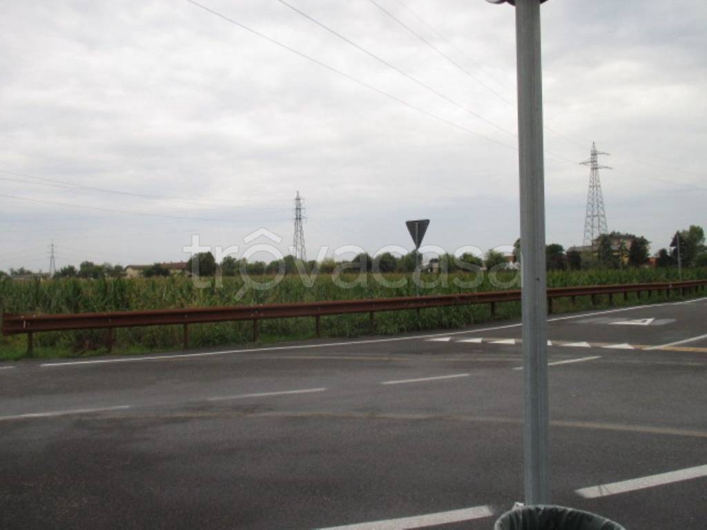 immagine annuncio 4 di 14
