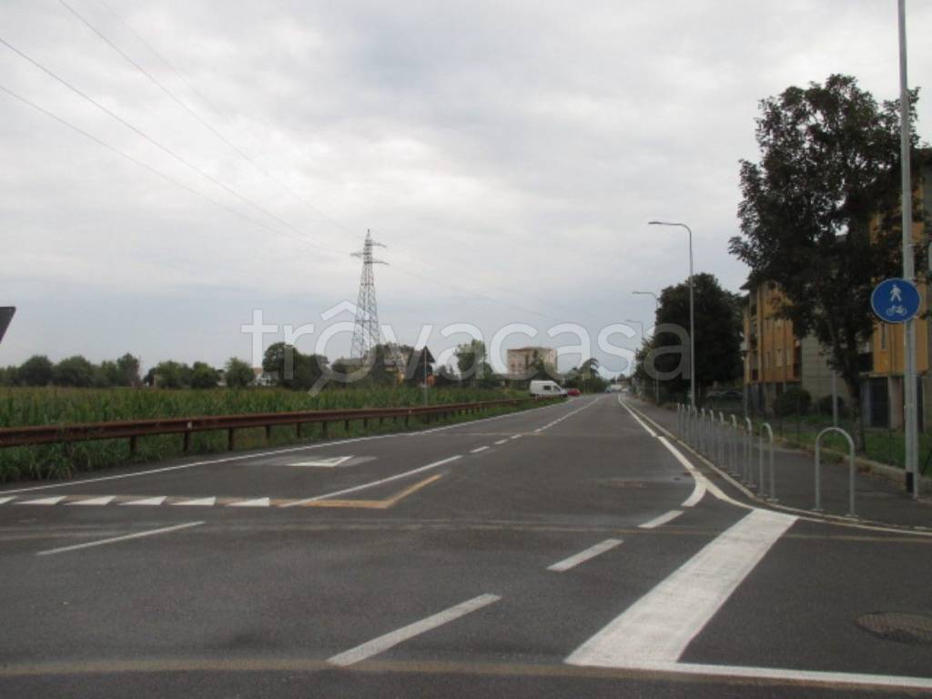 immagine annuncio 5 di 14