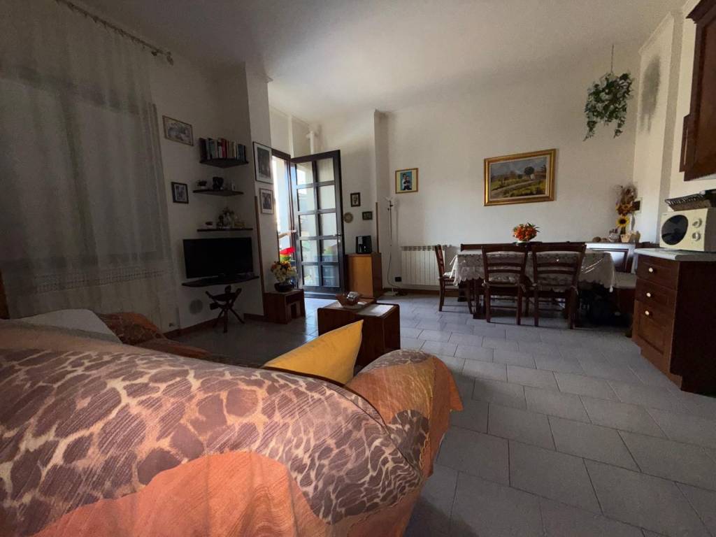 immagine annuncio 3 di 13