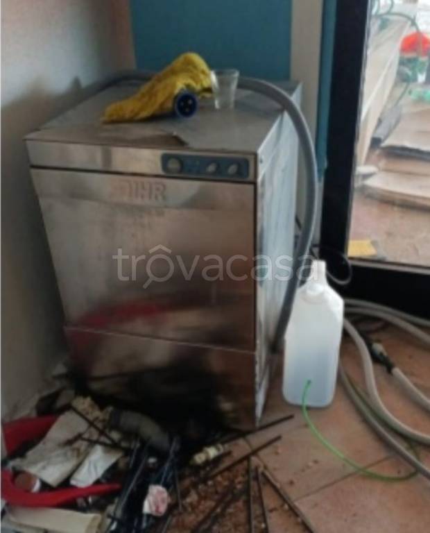 immagine annuncio 5 di 12