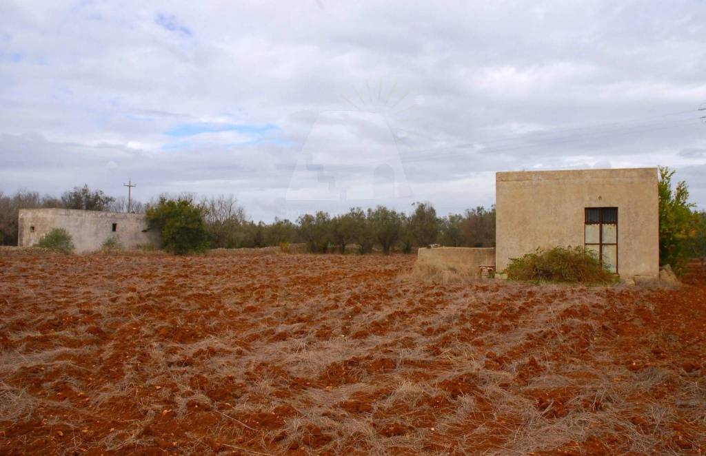 immagine annuncio 2 di 7