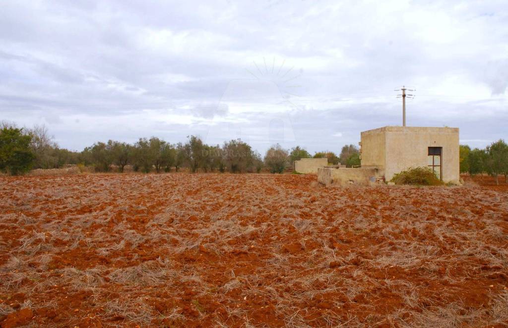 immagine annuncio 5 di 7