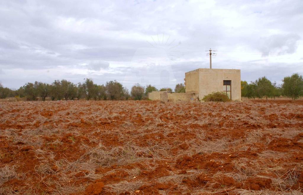 immagine annuncio 6 di 7