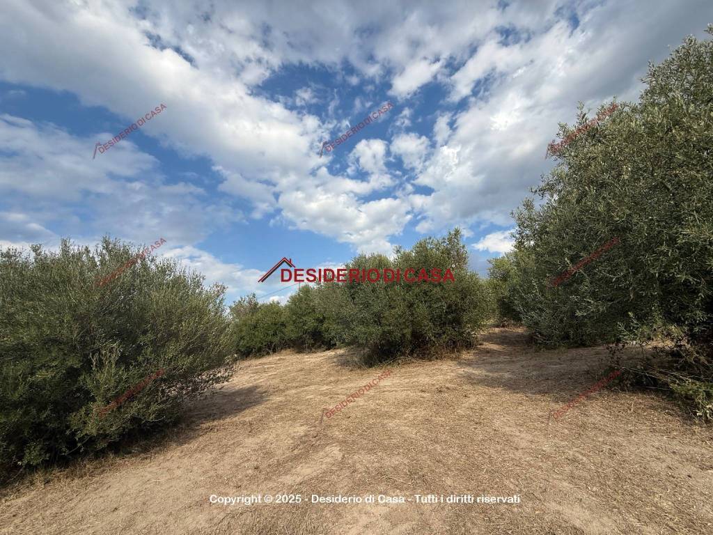 immagine annuncio 3 di 8