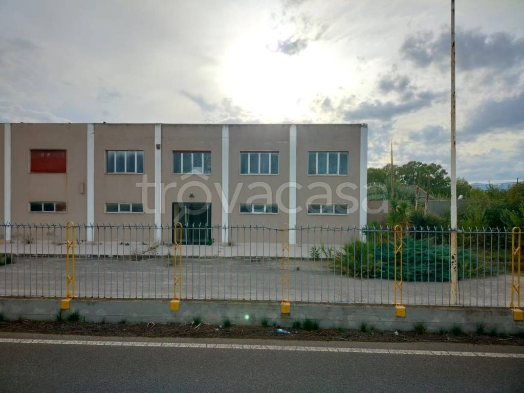 immagine annuncio 3 di 7