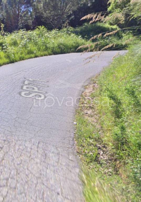 immagine annuncio 8 di 11