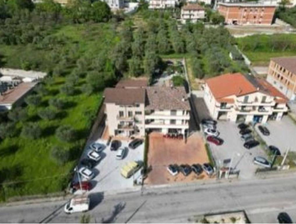 immagine annuncio 10 di 11