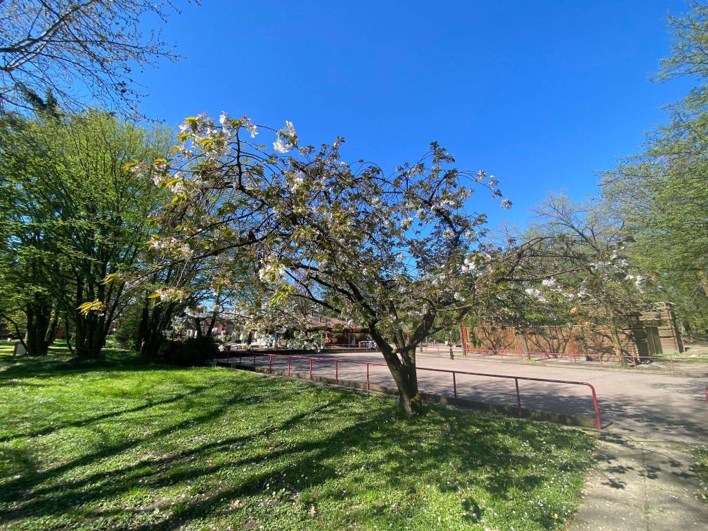 immagine annuncio 13 di 15