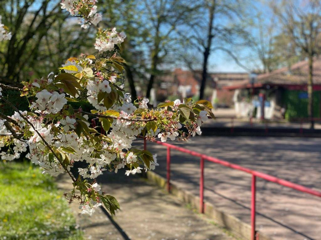 immagine annuncio 14 di 15