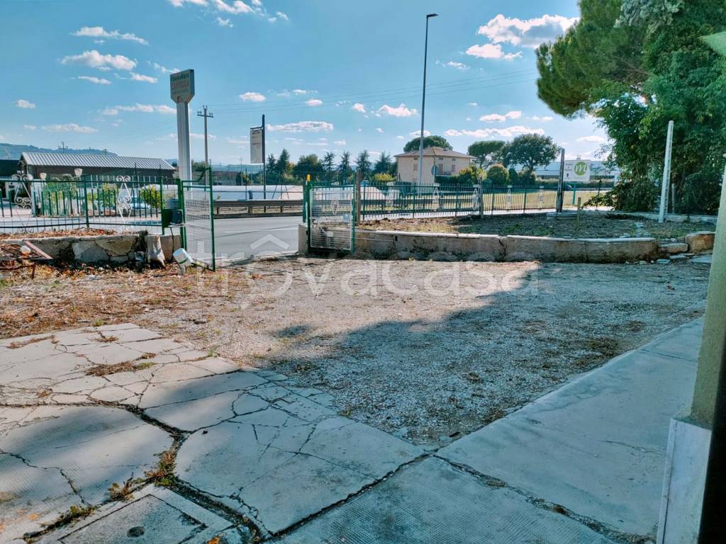 immagine annuncio 3 di 14