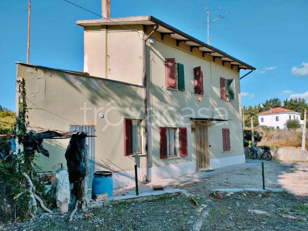 immagine annuncio 5 di 14