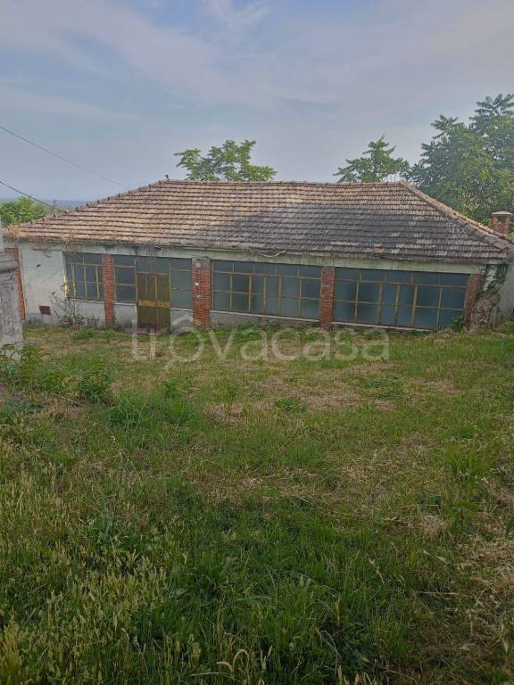 immagine annuncio 2 di 6