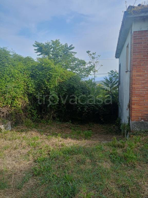 immagine annuncio 4 di 6