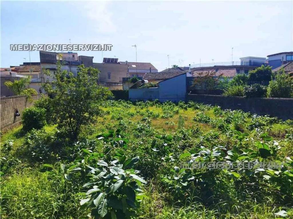 immagine annuncio 3 di 7