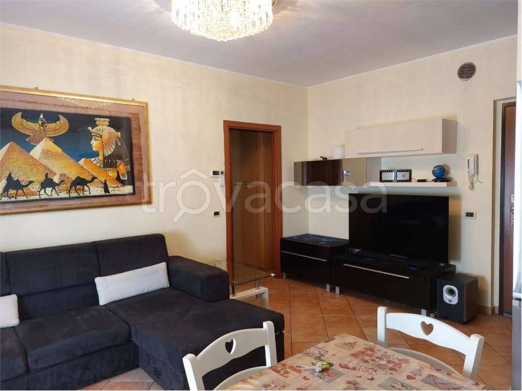 immagine annuncio 1 di 14