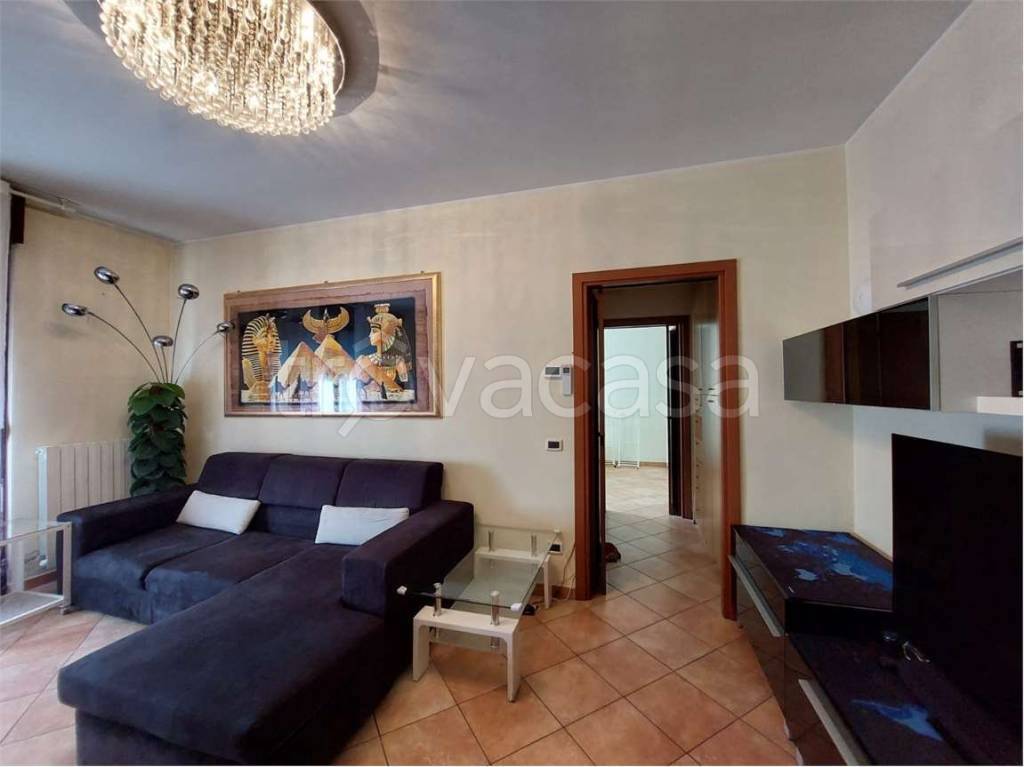 immagine annuncio 3 di 14