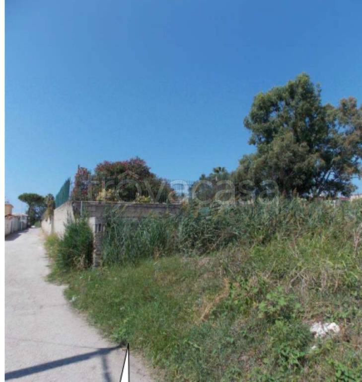 immagine annuncio 1 di 12