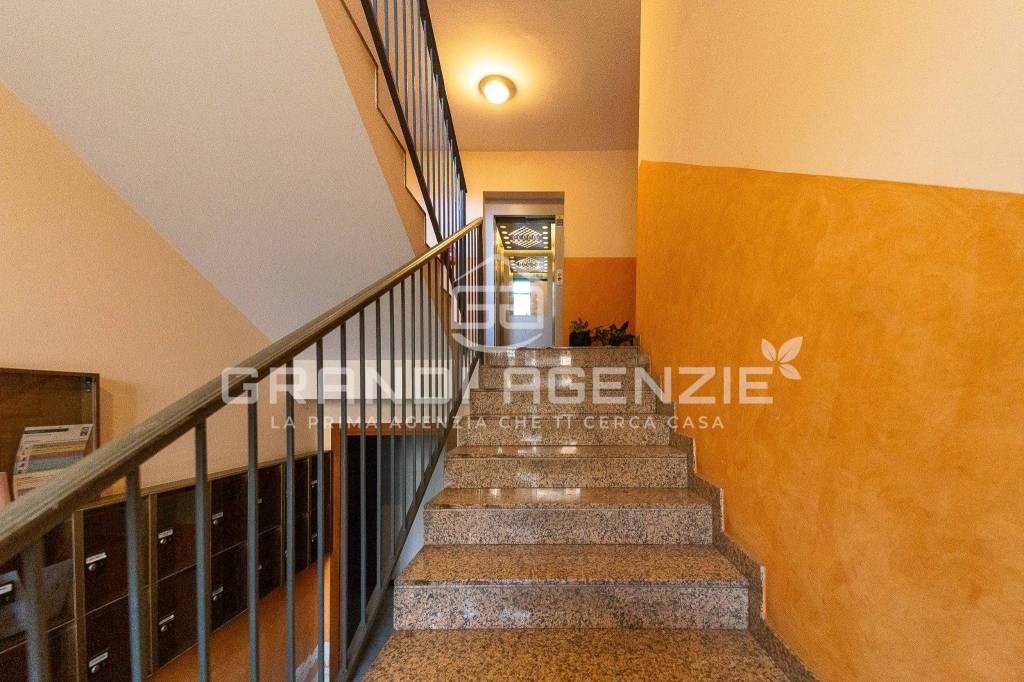 immagine annuncio 2 di 13