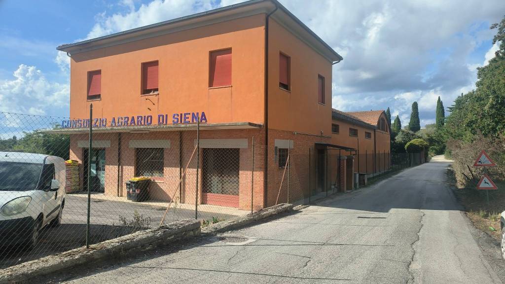 immagine annuncio 1 di 3