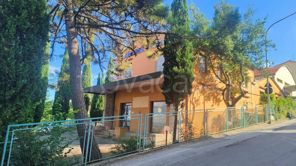 immagine annuncio 2 di 3