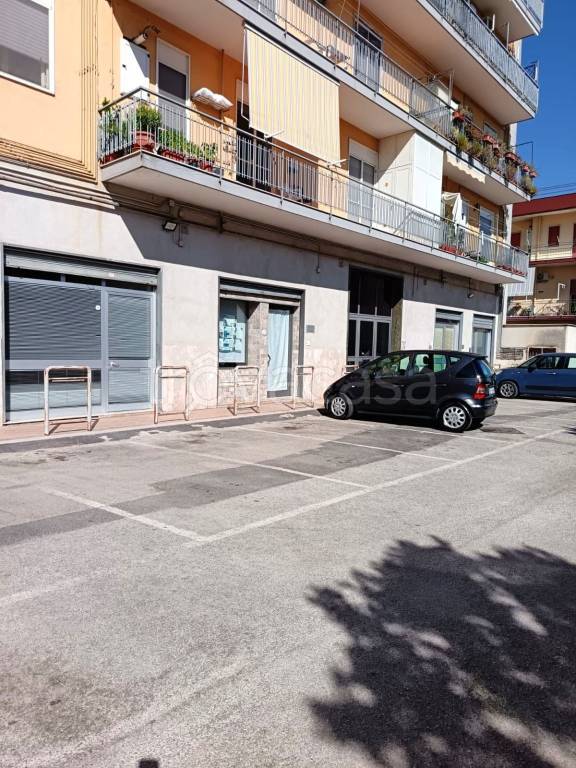 immagine annuncio 9 di 11