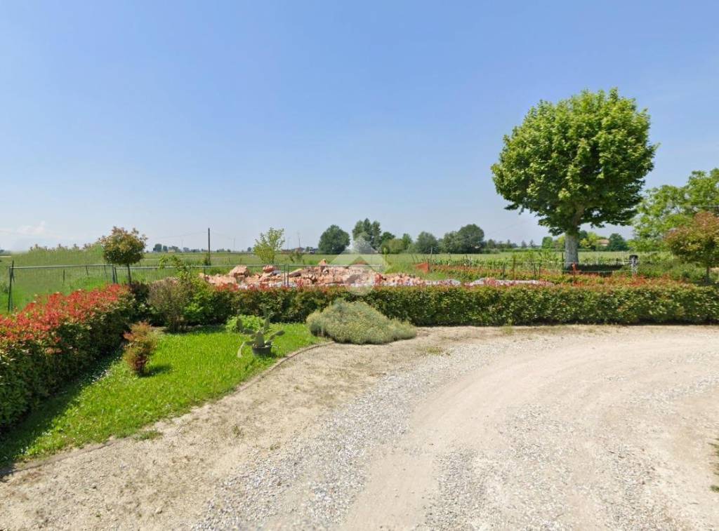 immagine annuncio 4 di 6