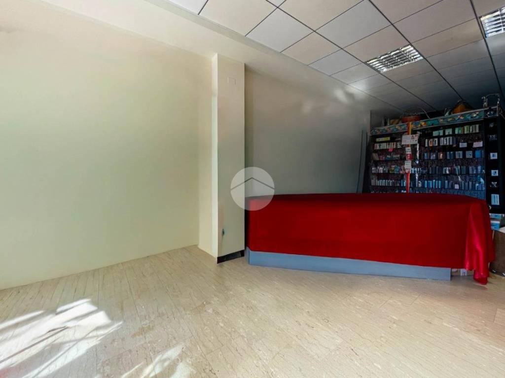 immagine annuncio 9 di 13