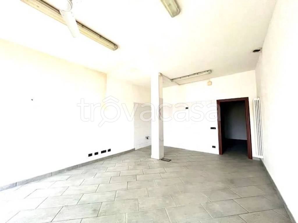 immagine annuncio 6 di 14