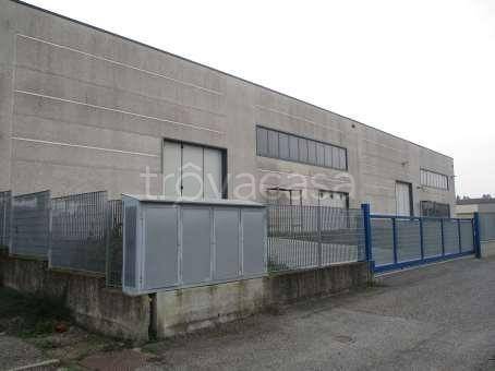 immagine annuncio 2 di 14