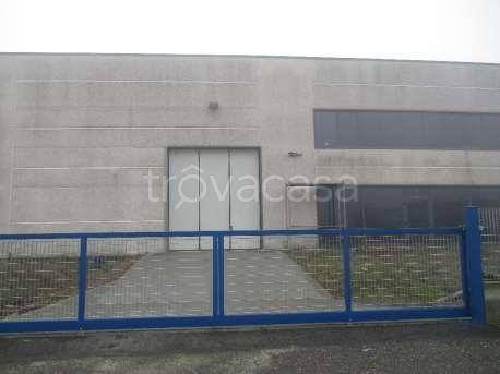 immagine annuncio 3 di 14