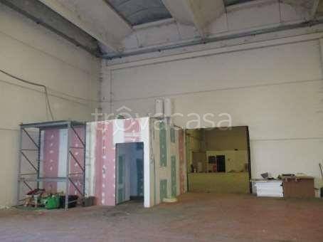 immagine annuncio 4 di 14