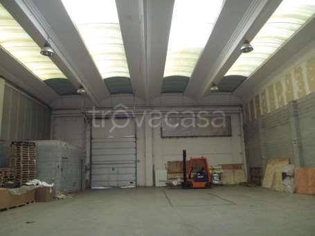 immagine annuncio 5 di 14