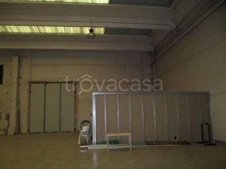 immagine annuncio 7 di 14