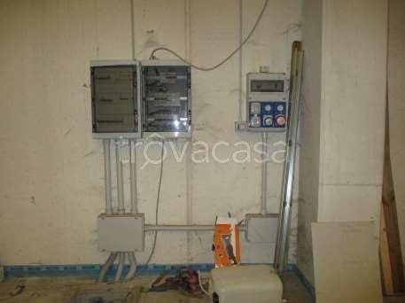 immagine annuncio 9 di 14