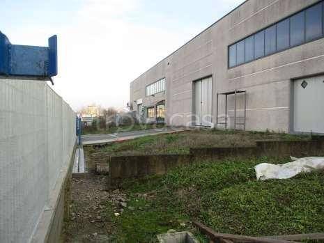 immagine annuncio 10 di 14