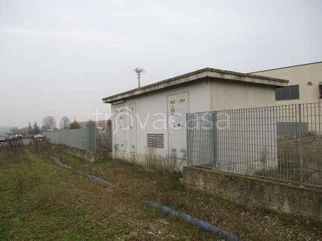 immagine annuncio 11 di 14