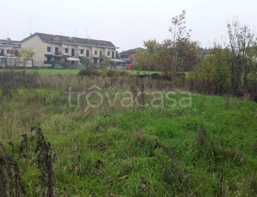 immagine annuncio 4 di 9