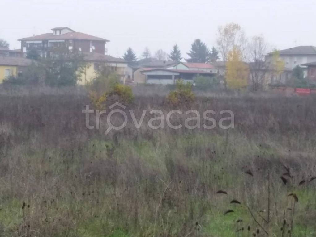 immagine annuncio 5 di 9