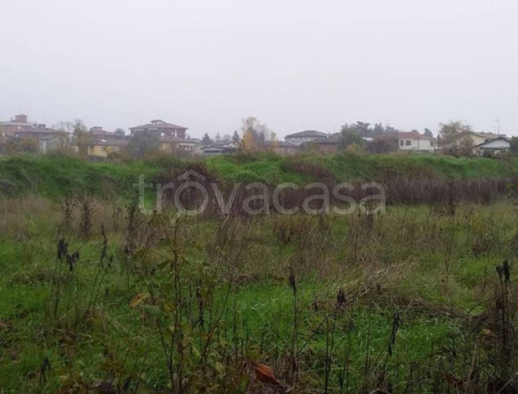 immagine annuncio 6 di 9