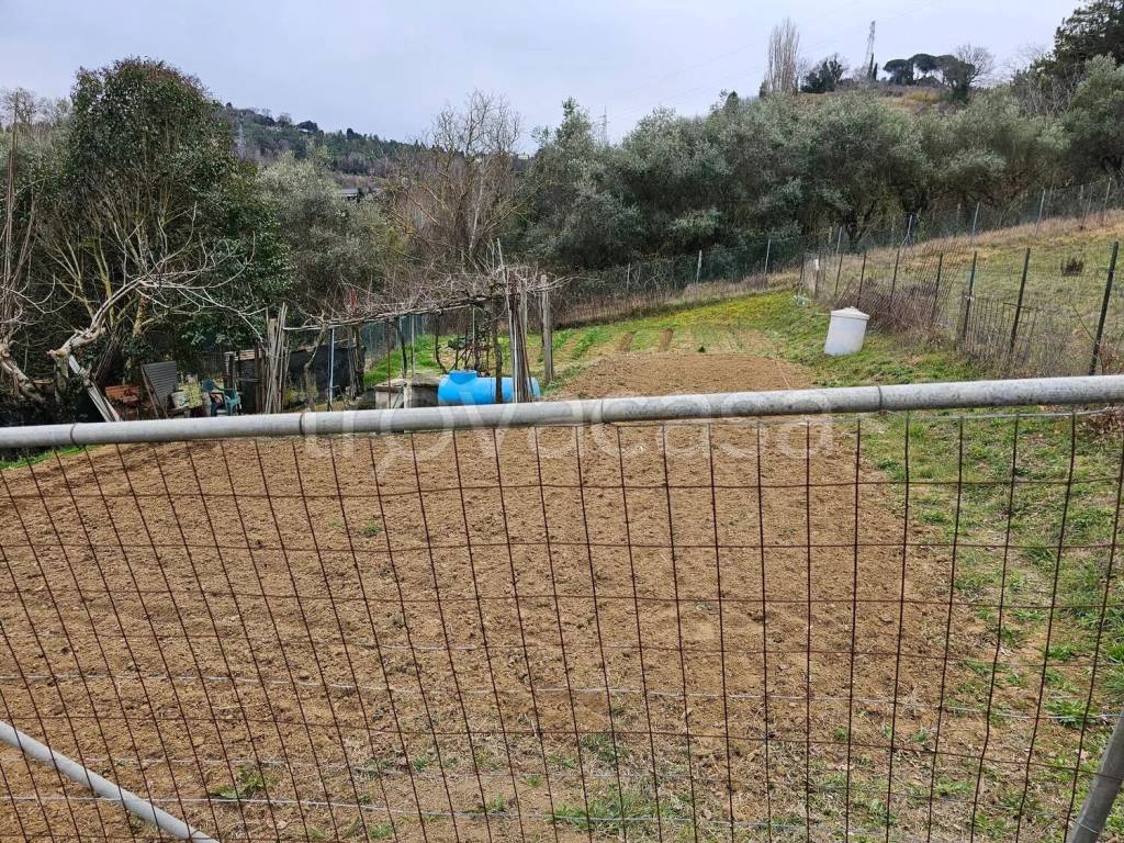 immagine annuncio 5 di 8