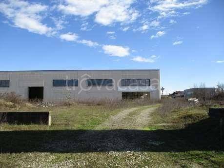 immagine annuncio 2 di 8