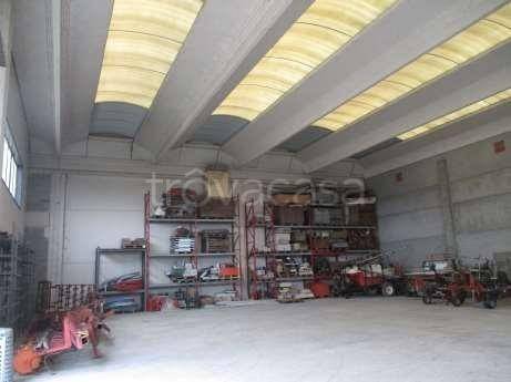 immagine annuncio 5 di 8