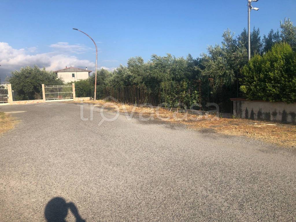 immagine annuncio 3 di 6