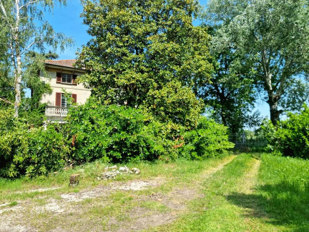 immagine annuncio 7 di 15