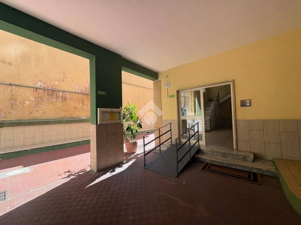 immagine annuncio 3 di 12